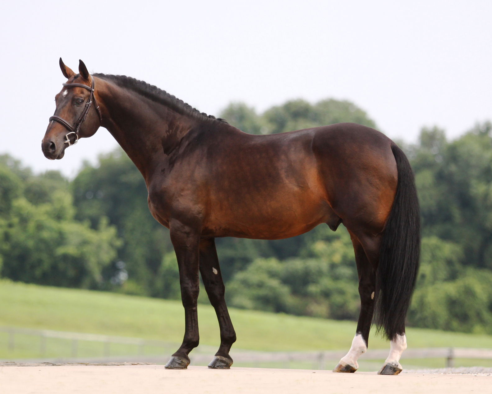 Talisman - Hilltop Farm, Inc.