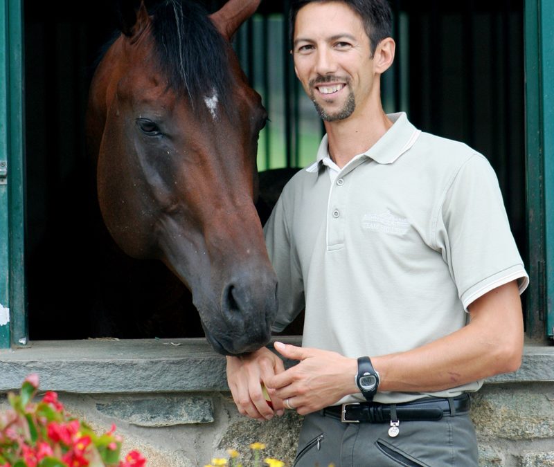 Tips on Showing Sport Horses In Hand