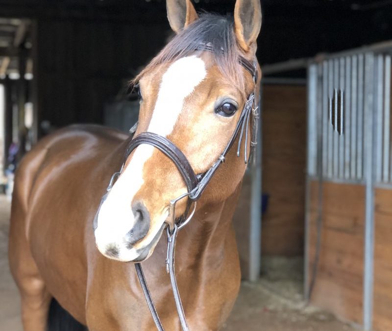 Royal Mischief Maker