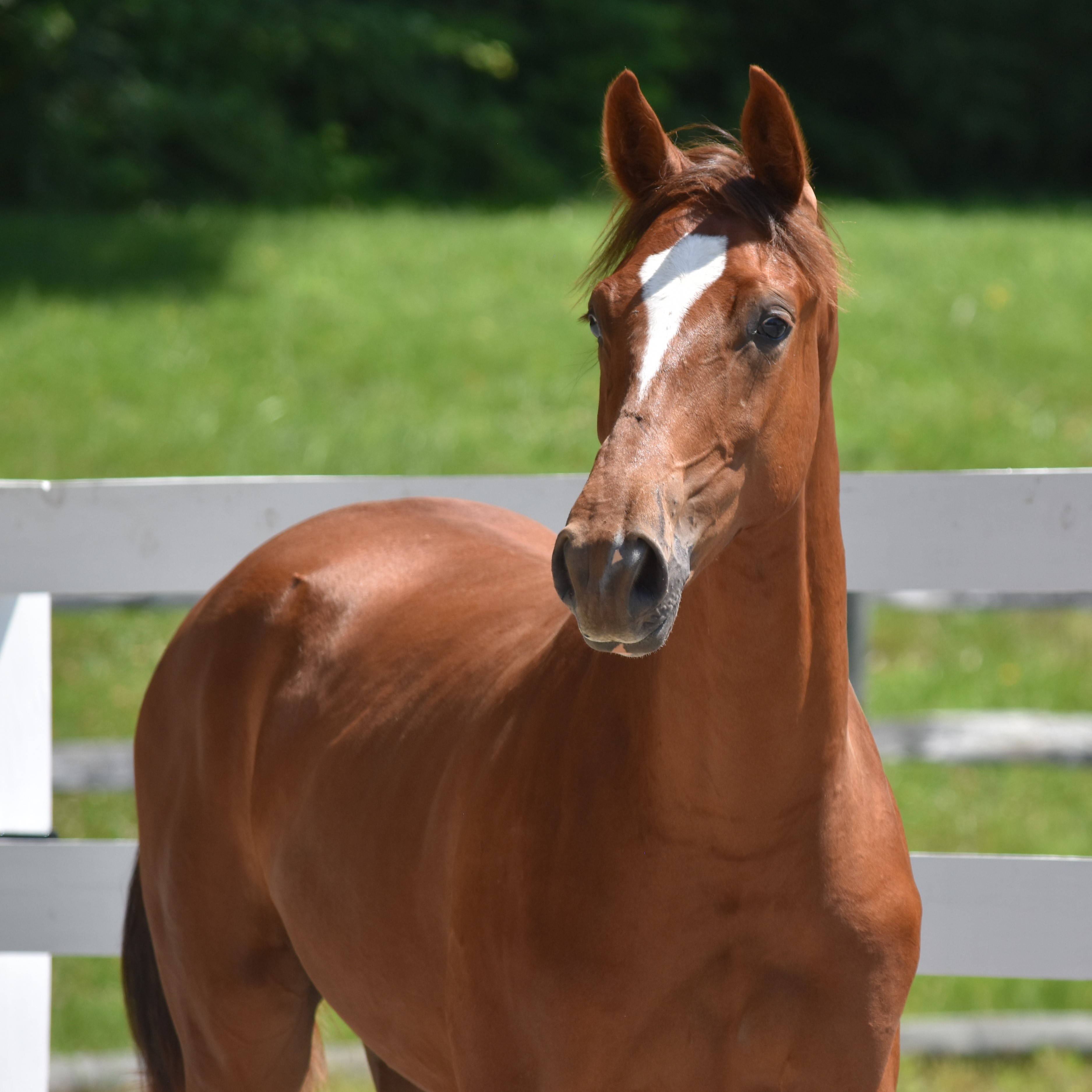 Redford HTF Hilltop Farm Inc 