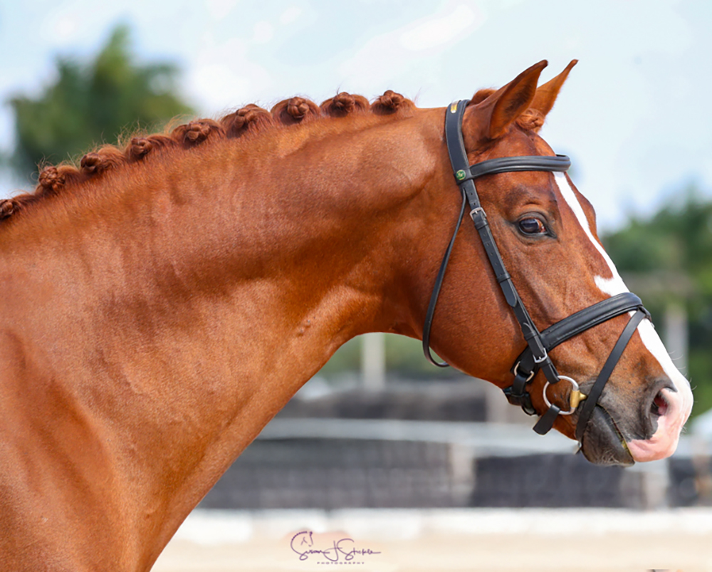 Qredit - Hilltop Farm, Inc.