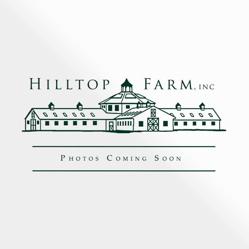 hilltop-photos-coming-soon-logo