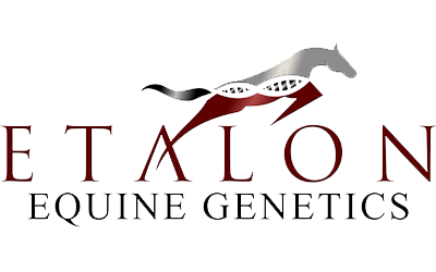 etalon_logo_web