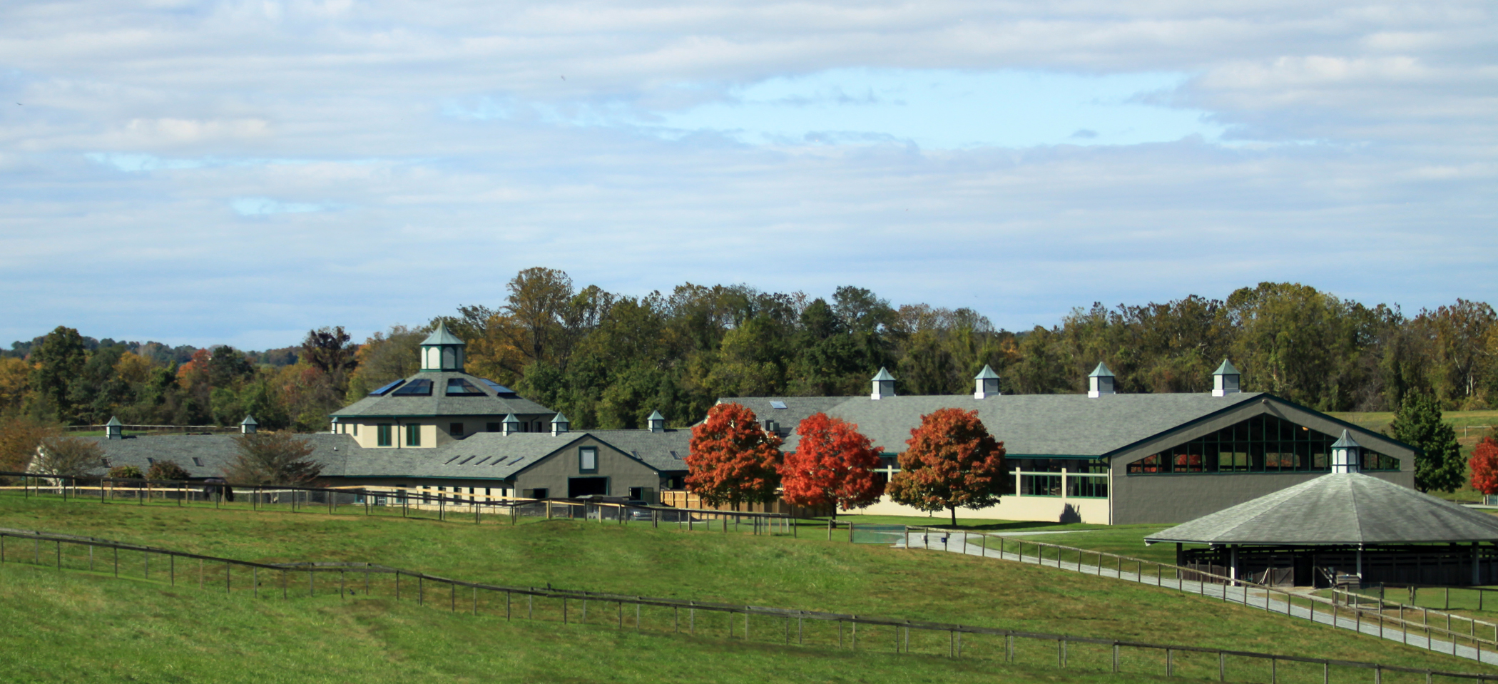 Hilltop Farm Named 2013 USDF Breeder of the Year Hilltop Farm, Inc.