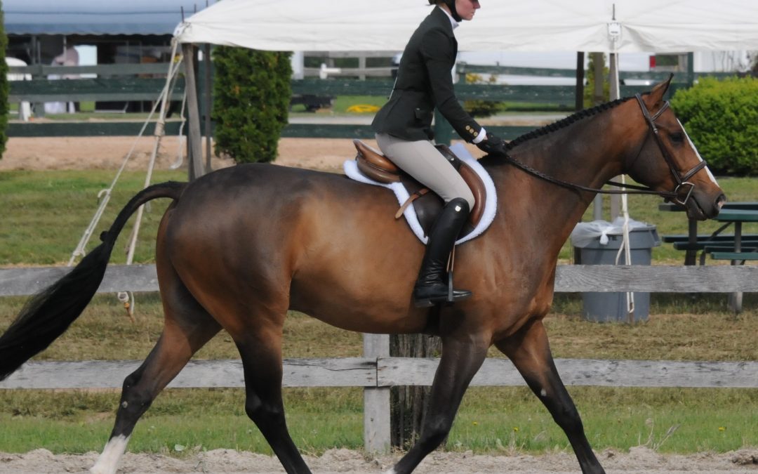 Oliver T (Talisman x Finally)