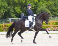 Franka Loos - George Clooney
FEI World Championship Young Dressage Horses 2018
© DigiShots