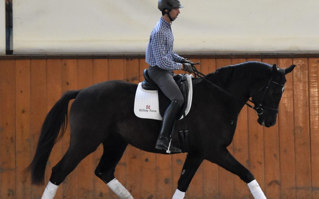 Stetson HTF (Sternlicht-Negro)