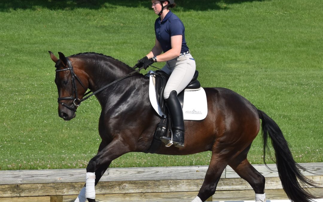 Savannah HTF (Sternlicht-Royal Prince)