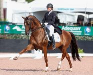 Photo by Susan J. Stickle