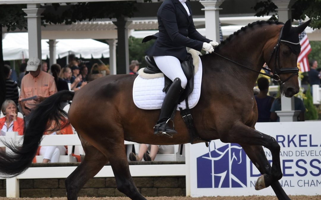 Irintha (Everdale-Tenerife VDL)