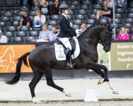 jayson_us_equigeniek_web1583x1266