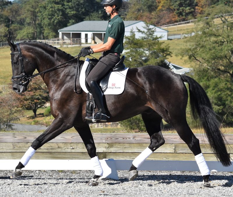 Steinbeck HTF (Sternlicht-Royal Prince)