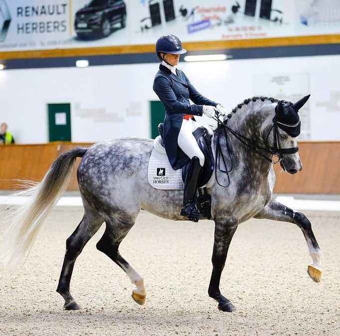 Especial (Everdale-Vivaldi)