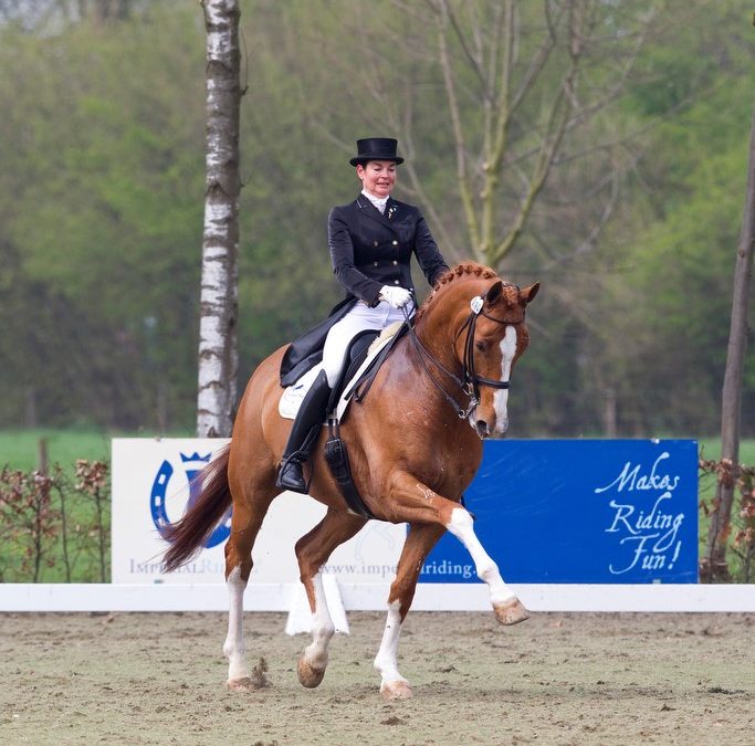 Ultimo S (Olivi-Dutch Gold)