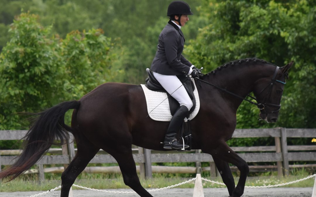 Starlet (Sternlicht-Festrausch)