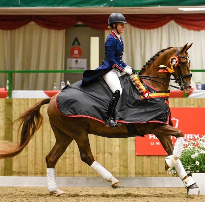 Imhotep (Everdale-Vivaldi)