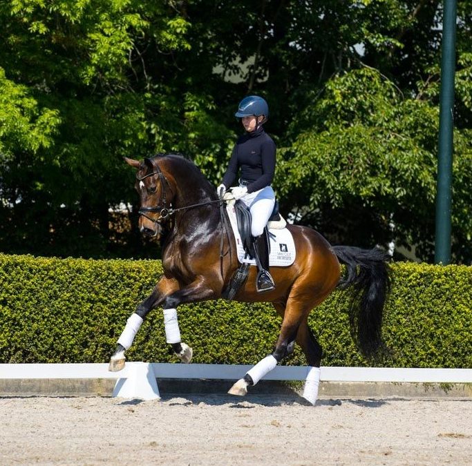 Luckybird (Everdale-Metall)