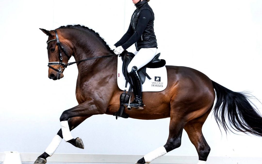 Legolas T (George Clooney-Lord Leatherdale)
