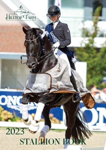 2023-stallion_book_cover