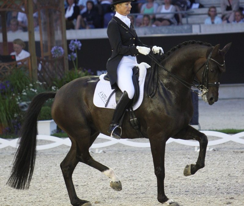 Taikoen (Negro-Rothschild)