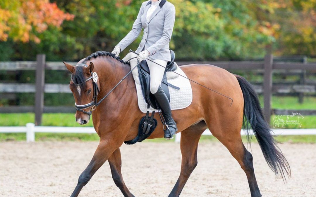 Mighty Rock BH (Indian Rock-Belissimo M)