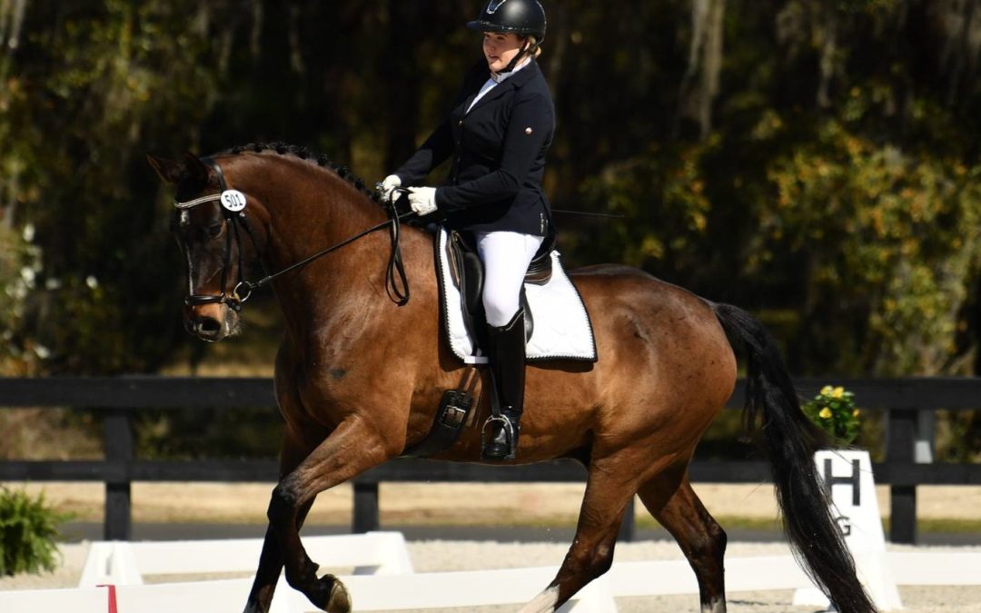 Sento Curo VH Bloemenhof (Indian Rock-Weltino)