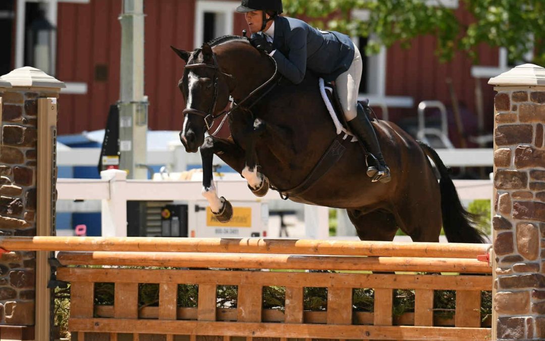 Starstruck (Indian Rock-Florencio I); photo: Kind Media