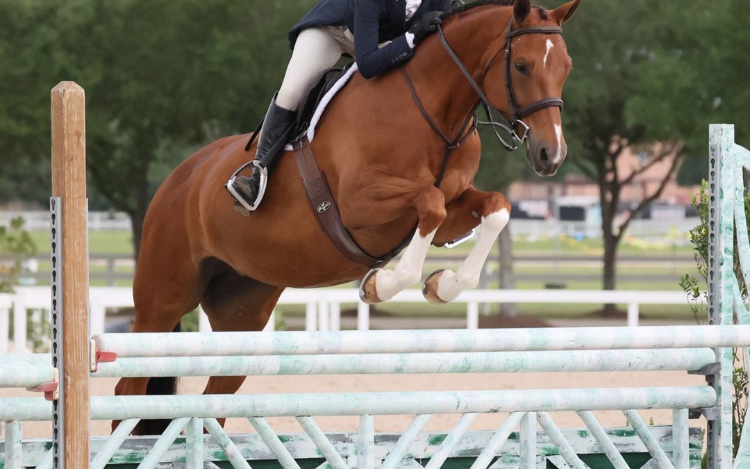 Penelope OPL (Qredit-Pablo); photo: John Mohme Photography