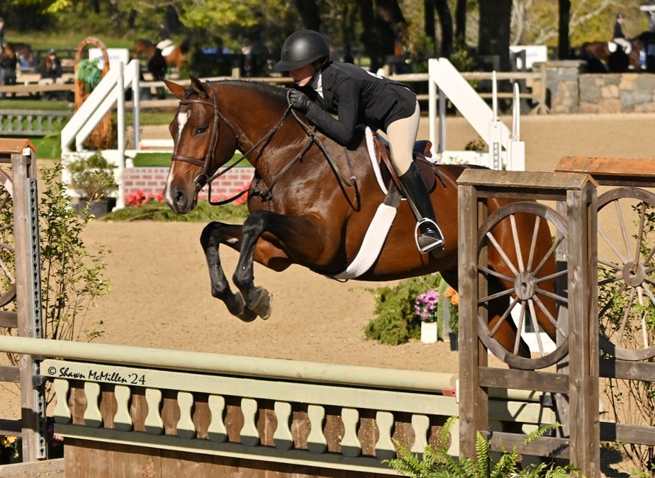 Qrazy Love HF (Qredit-Trillion); photo: Shawn McMillen Photography