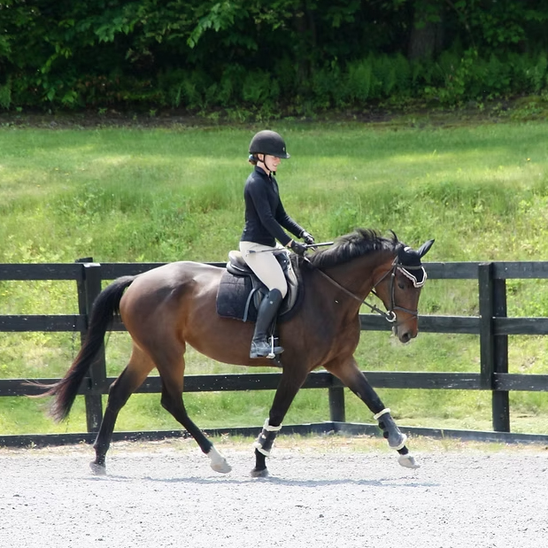 Ohana FF (Royal Tourmalet SPF-Eltish xx)